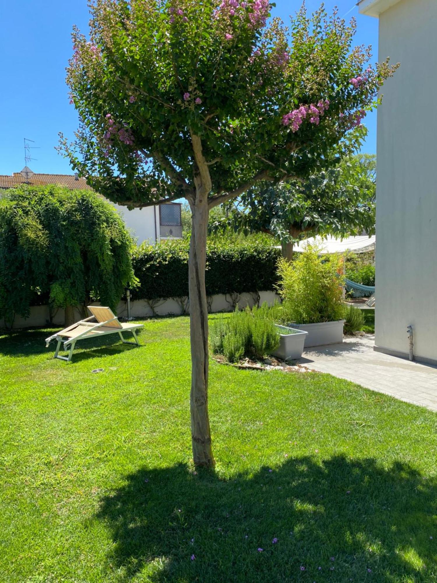 B&B Il Giardino Dello Yogi Savio di Ravenna Dış mekan fotoğraf